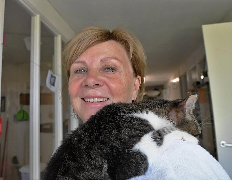 Kattenpraat