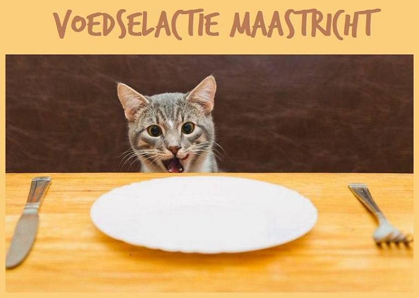 Kattenpraat