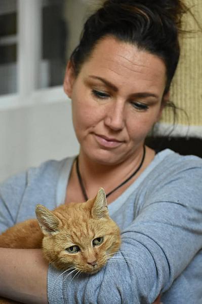 Kattenpraat