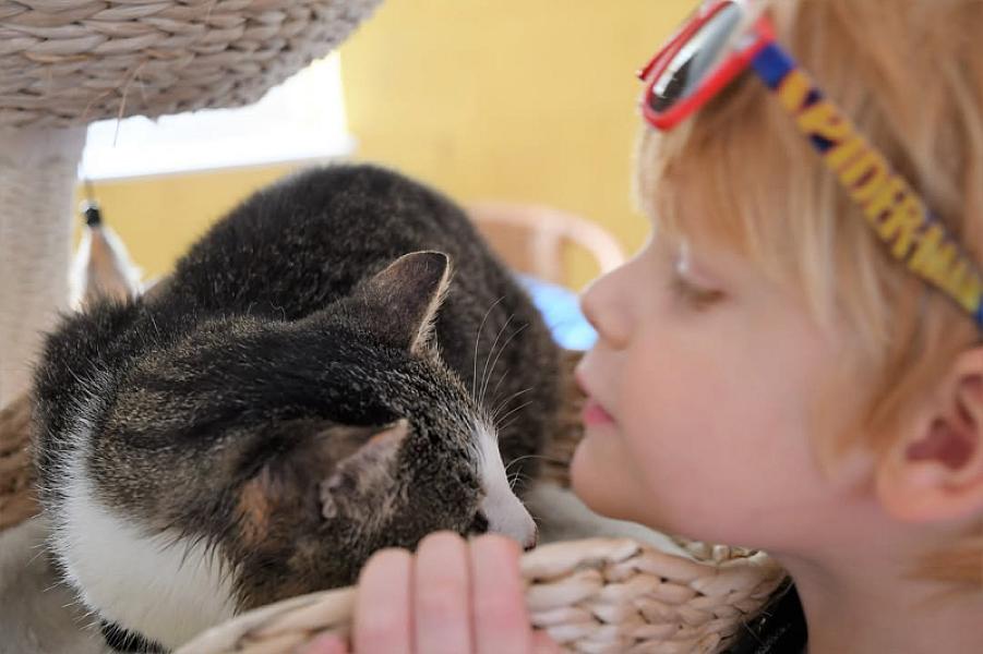 Kattenpraat