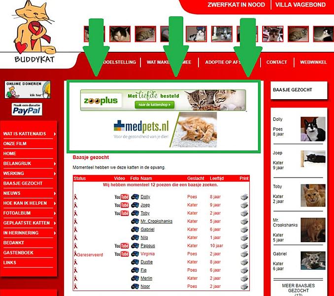 Kattenpraat