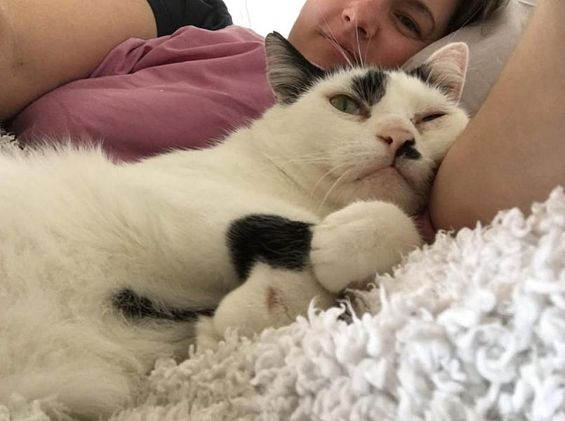 Kattenpraat