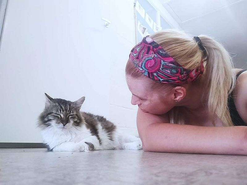 Kattenpraat