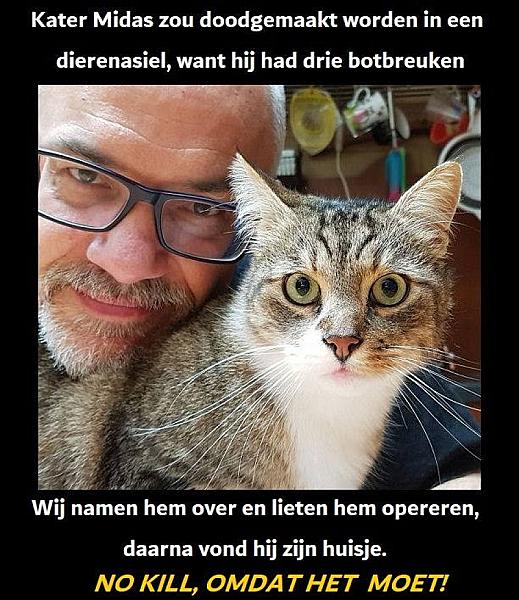 Kattenpraat