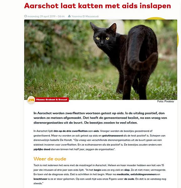 Kattenpraat