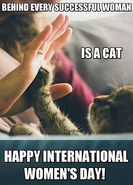 Kattenpraat
