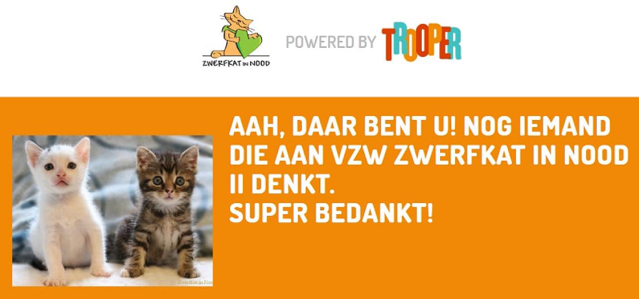 Kattenpraat