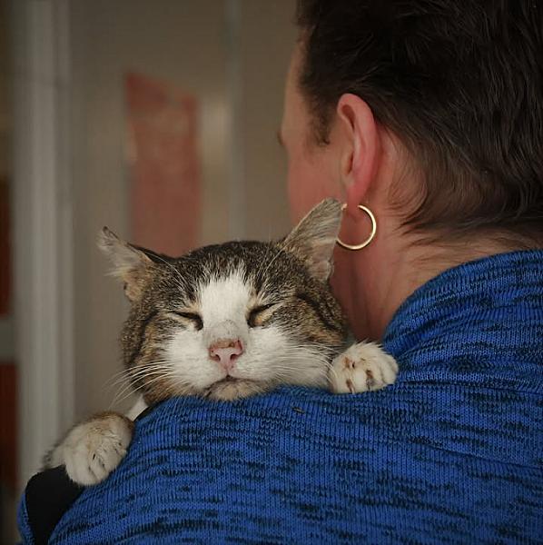 Kattenpraat