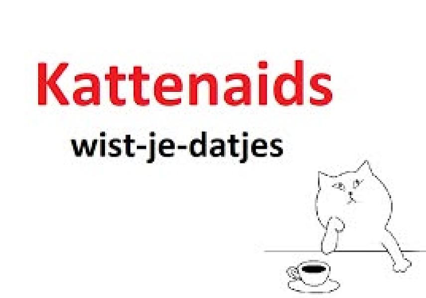 Kattenpraat