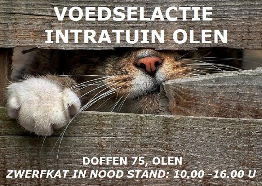 Kattenpraat