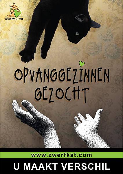 Kattenpraat