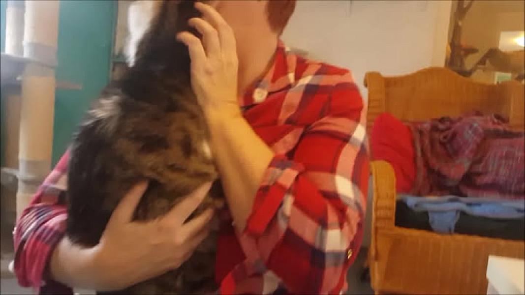 Kattenpraat
