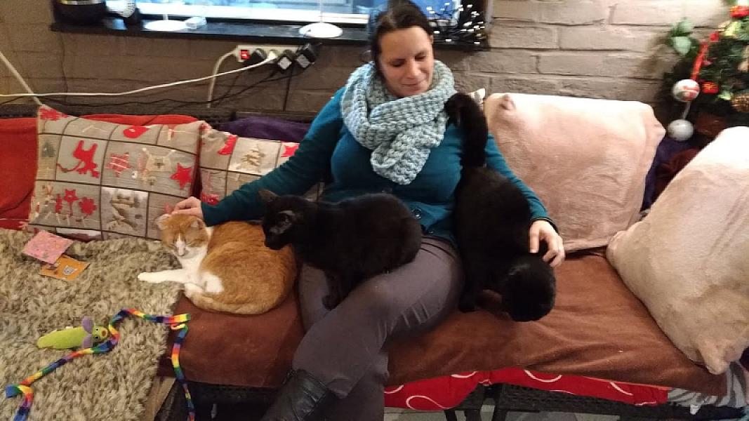 Kattenpraat