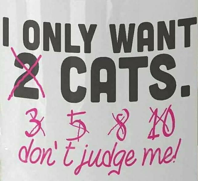 Kattenpraat
