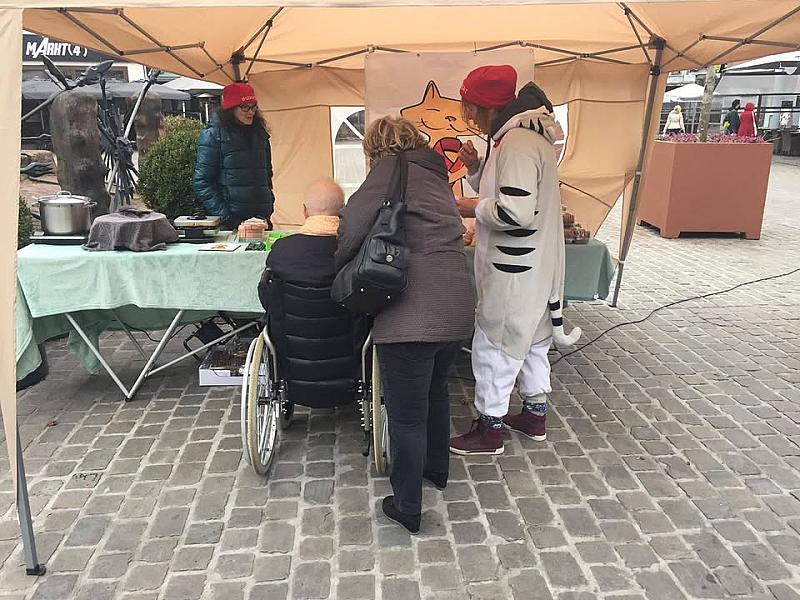 Kattenpraat