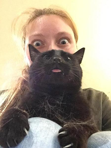 Kattenpraat