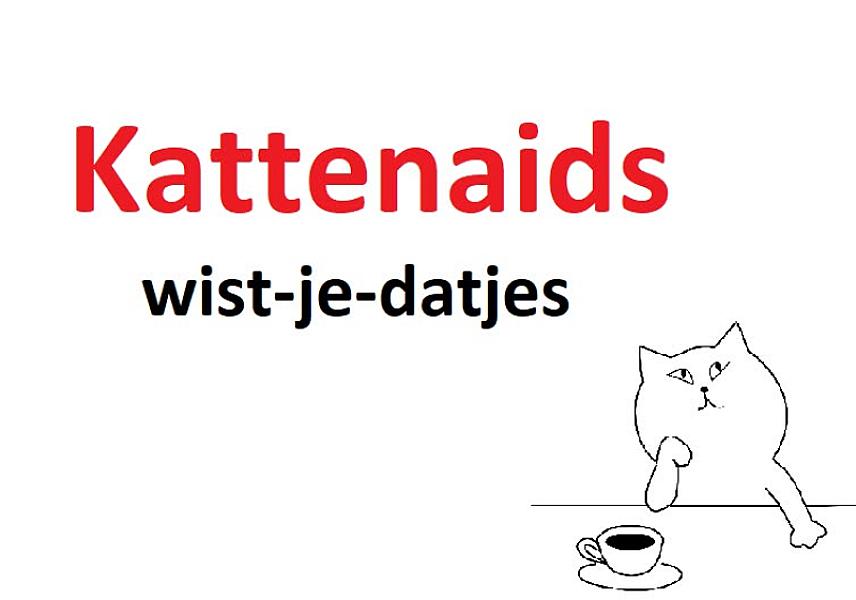Kattenpraat