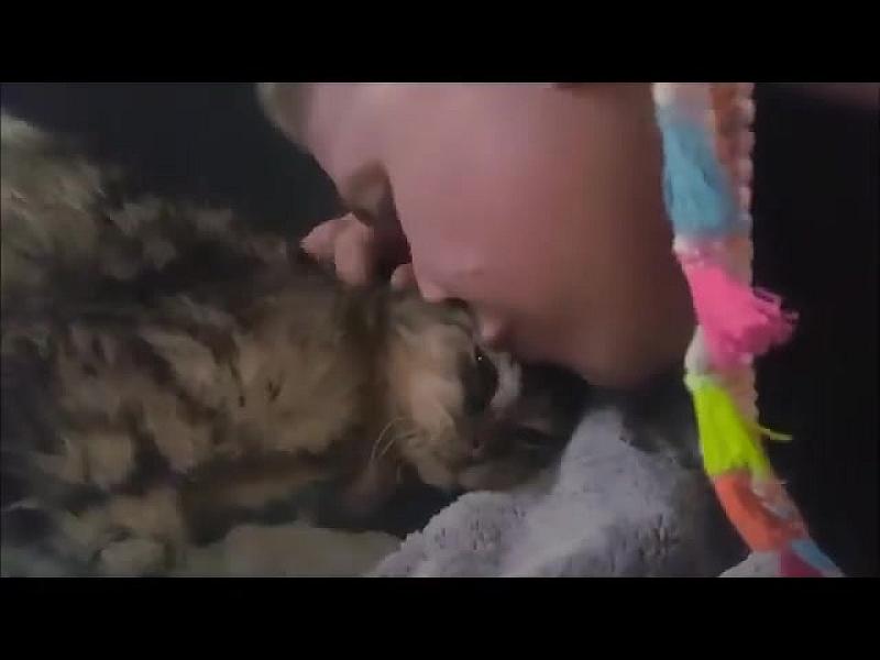 Kattenpraat
