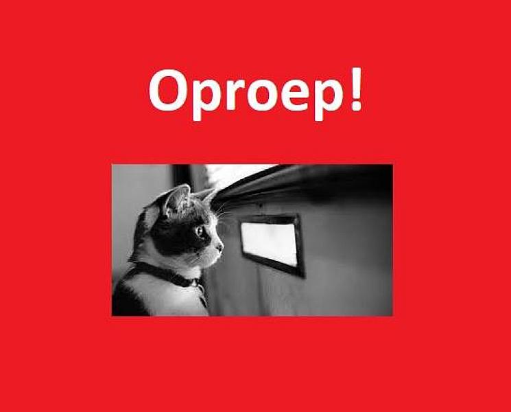 Kattenpraat