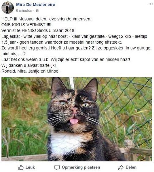 Kattenpraat