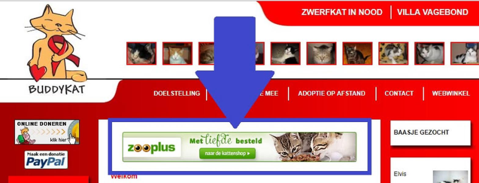 Kattenpraat