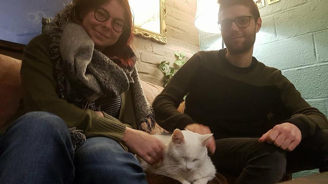 Kattenpraat