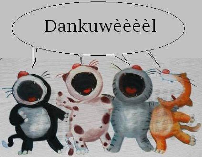 Kattenpraat