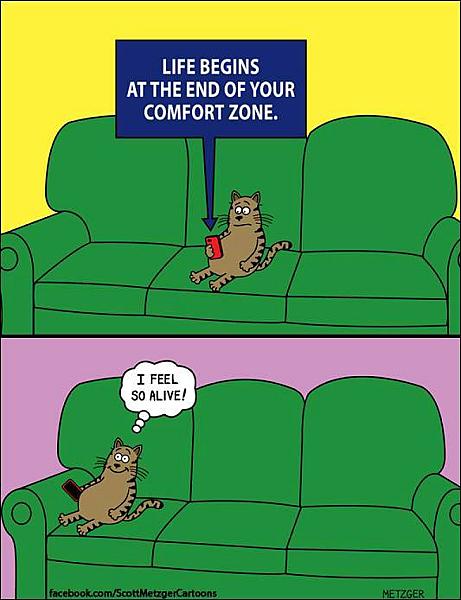 Kattenpraat