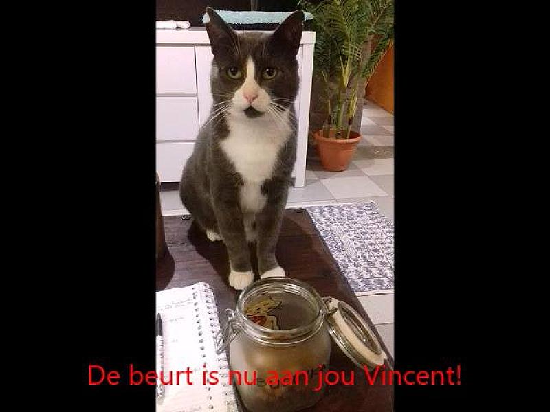Kattenpraat