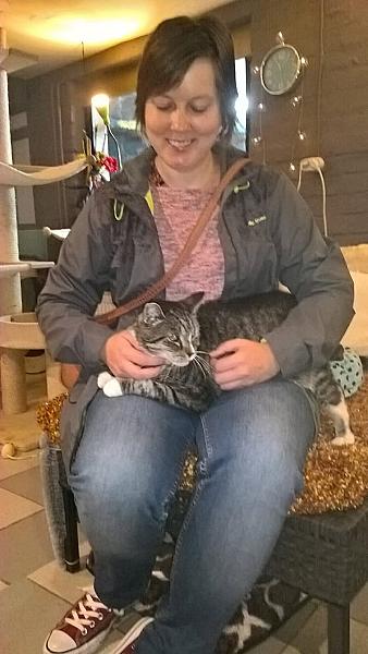 Kattenpraat