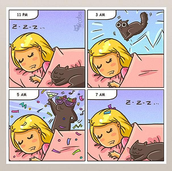 Kattenpraat
