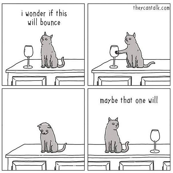 Kattenpraat