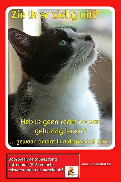 Kattenpraat