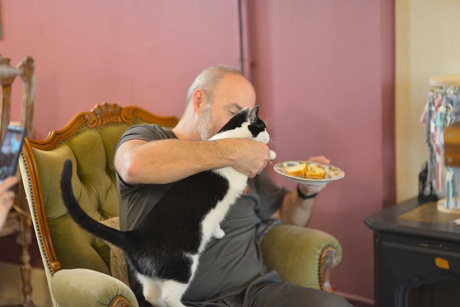 Kattenpraat
