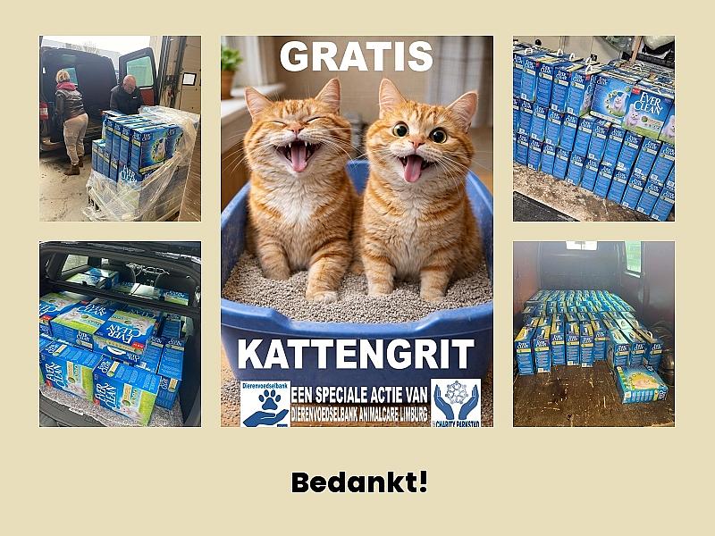 Kattenpraat