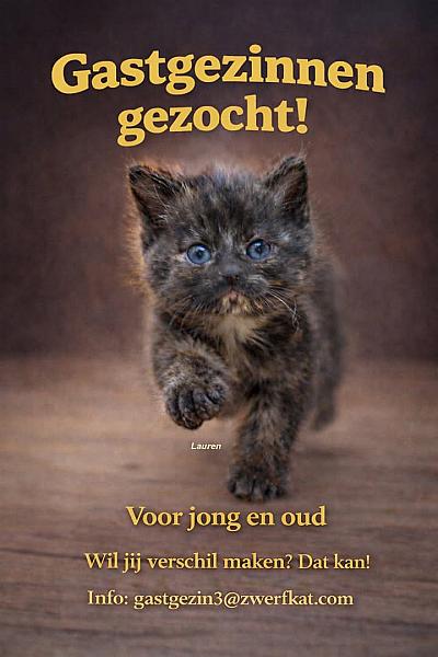 Kattenpraat