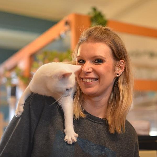 Kattenpraat