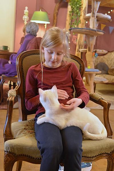 Kattenpraat
