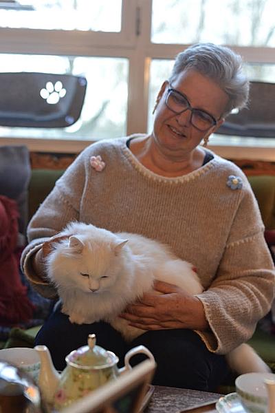 Kattenpraat