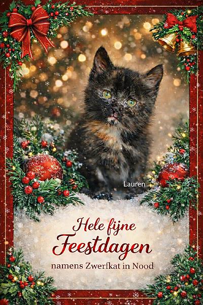 Kattenpraat