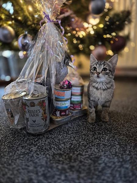 Kattenpraat