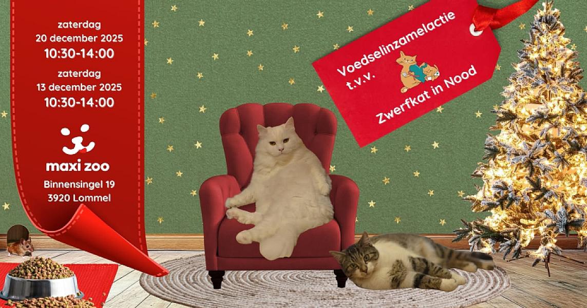 Kattenpraat