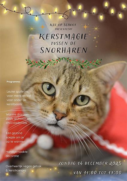 Kattenpraat