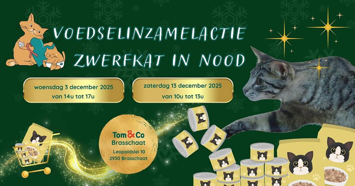 Kattenpraat