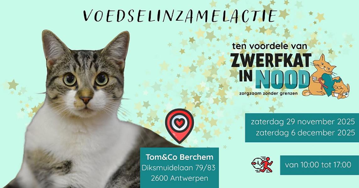 Kattenpraat