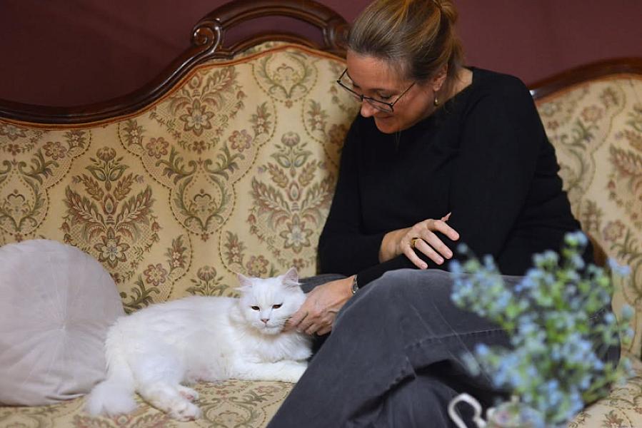 Kattenpraat