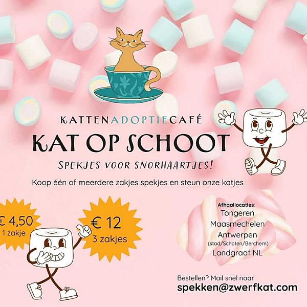 Kattenpraat