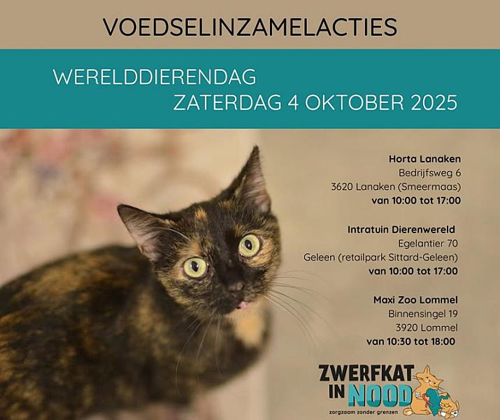 Kattenpraat
