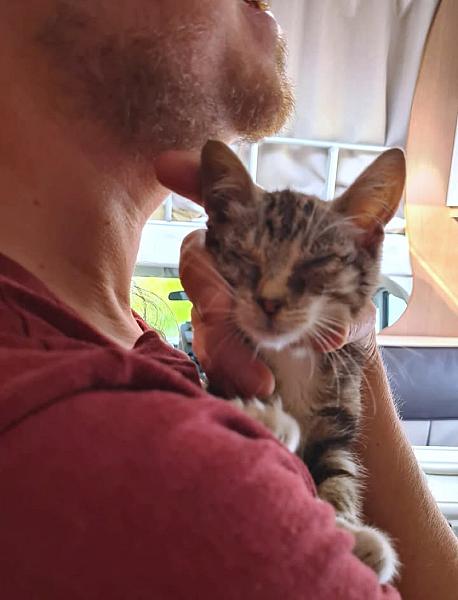 Kattenpraat