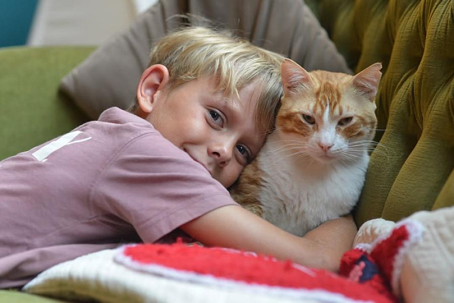 Kattenpraat